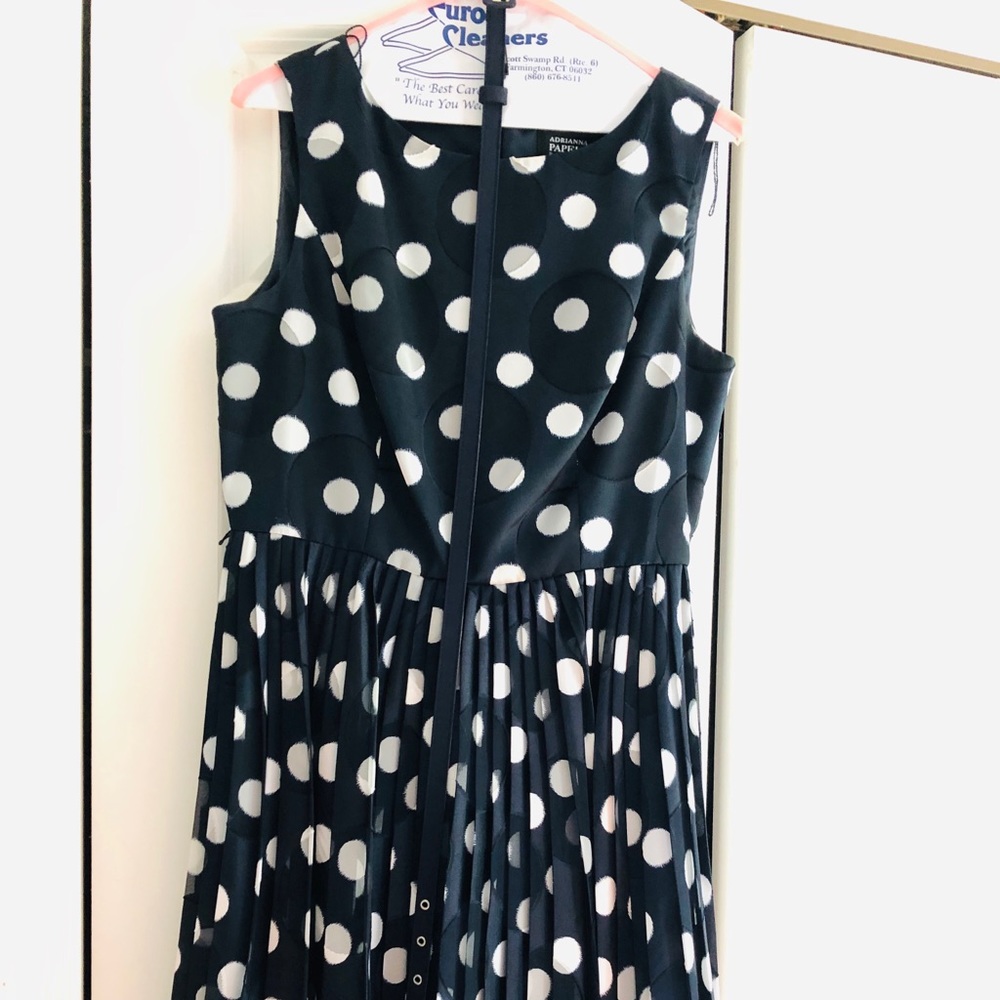 Adriana Papell Burnout Polka Dot Fit n Flare Dress